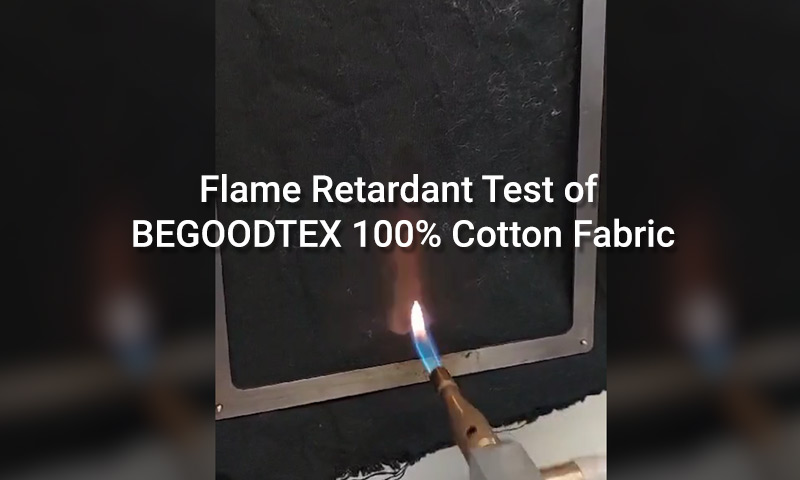 begoodtex-100%-cotton
